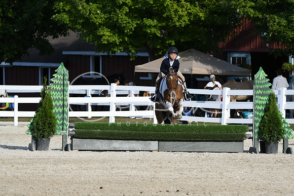 HSM_4317