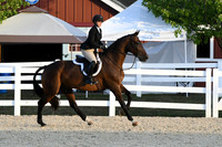 HSM_0273
