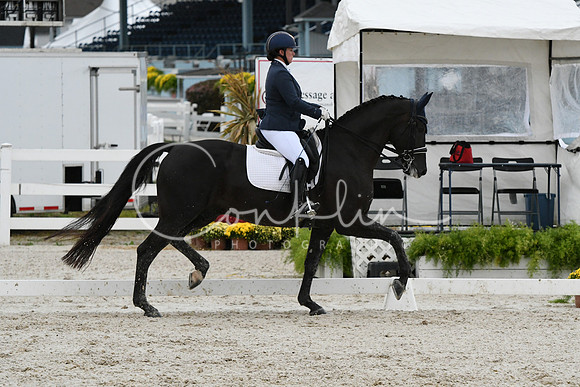 HSM_0665