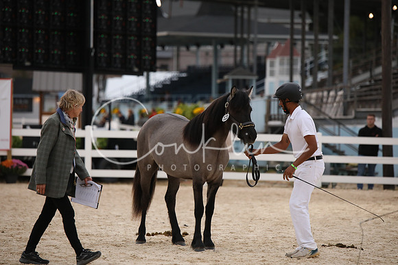 BW242051