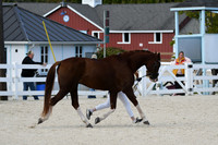HSM_5513