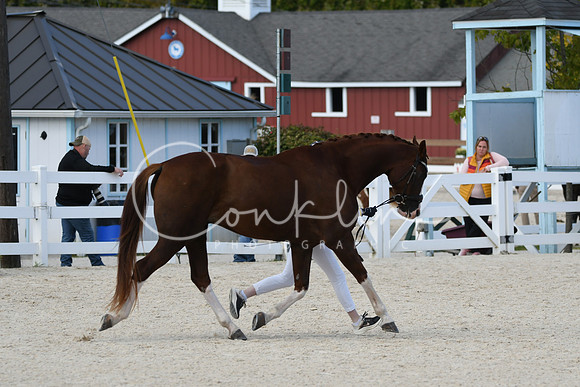 HSM_5513