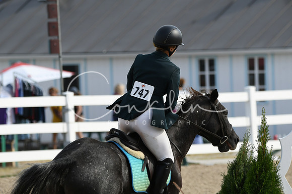 HSM_1619