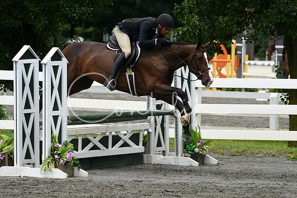 HSM_4137