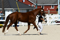 HSM_4955