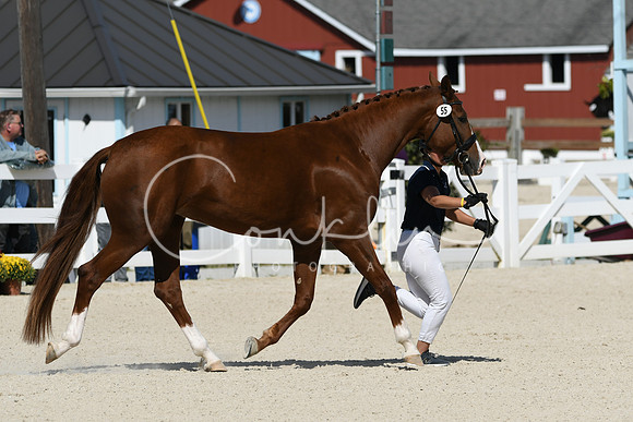 HSM_4955