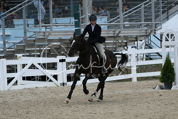 HSM_8799