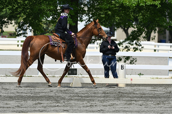 HSM_2939