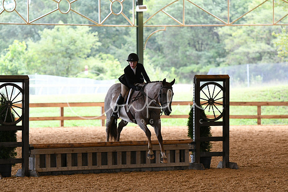 HSM_1201