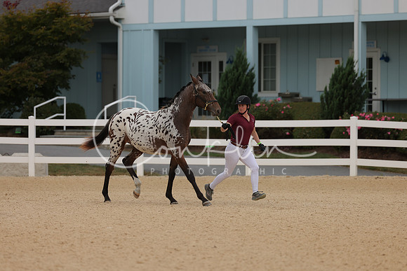 HLK_0342