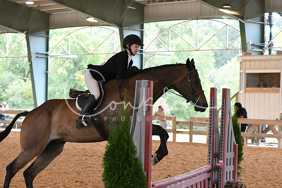 HSM_1296