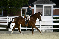 HSM_0588