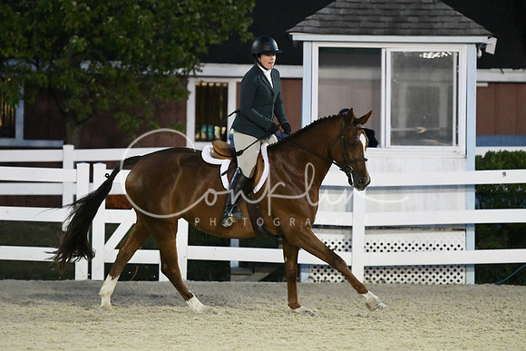 HSM_0588