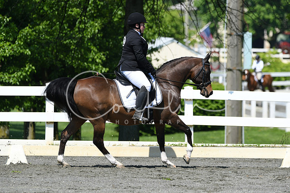 HSM_1275