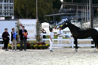HSM_6443