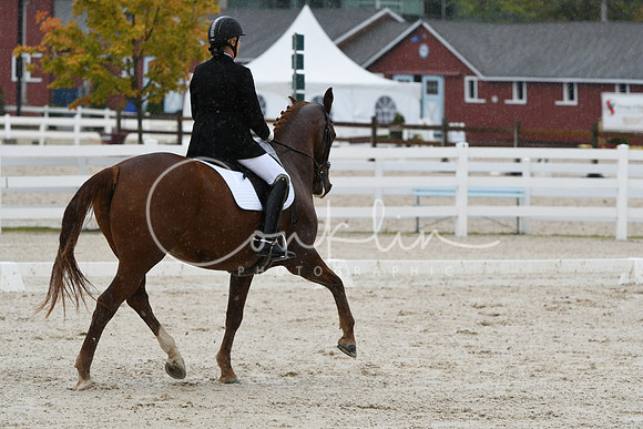 HSM_0362