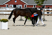 HSM_5229