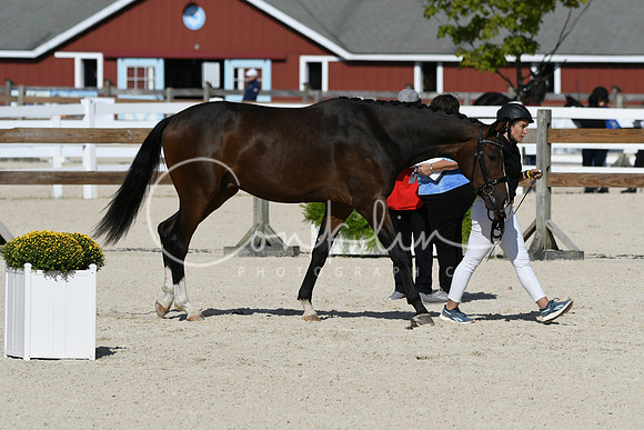 HSM_5229