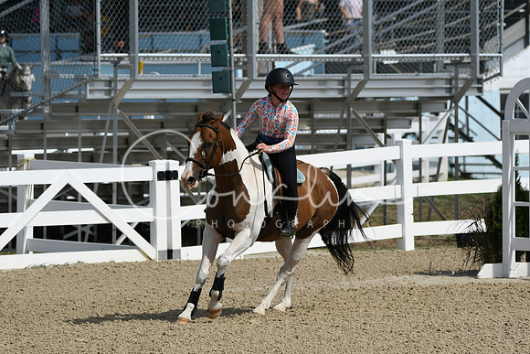HSM_2066