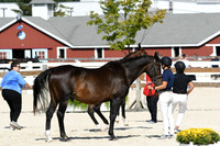 HSM_5060