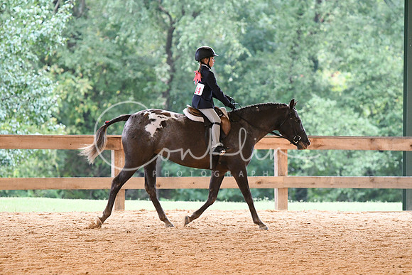 HSM_4825