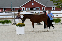 HSM_5368