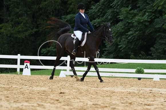 HSM_0204