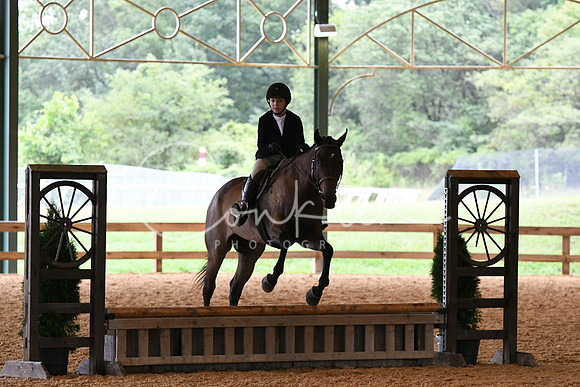 HSM_1291
