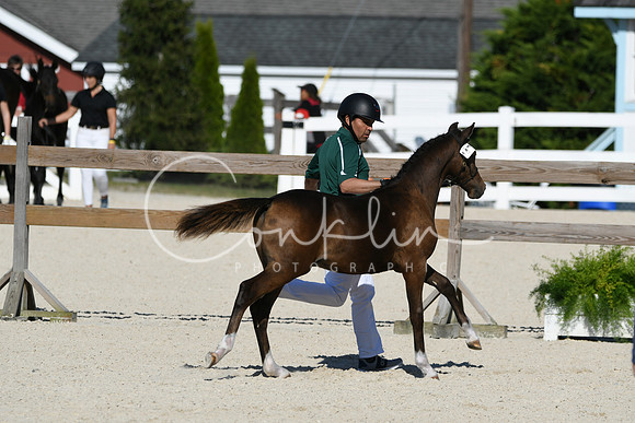 HSM_5267