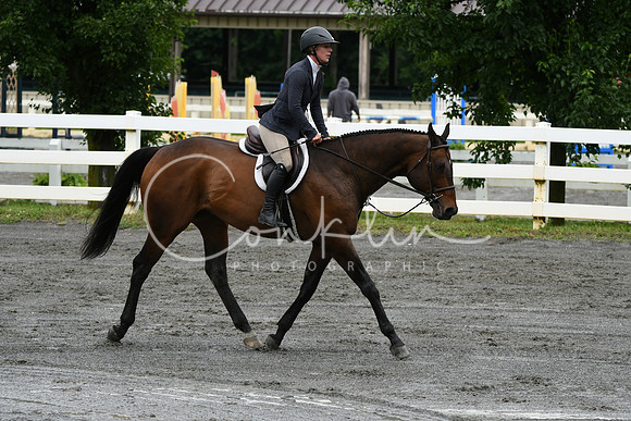 HSM_3805