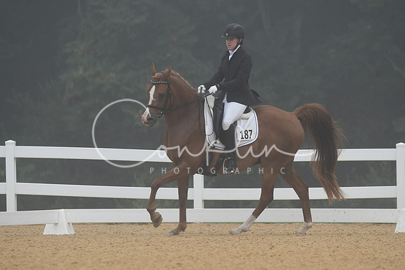 HSM_0731