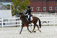 HSM_0937