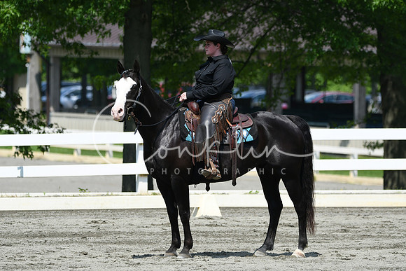 HSM_2882