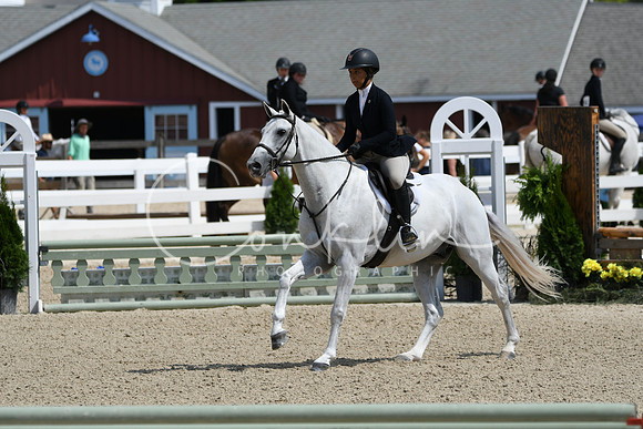 HSM_6617