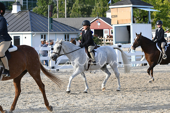 HSM_4546