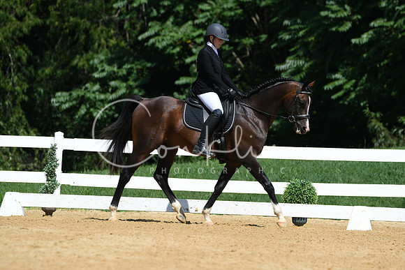 HSM_1248