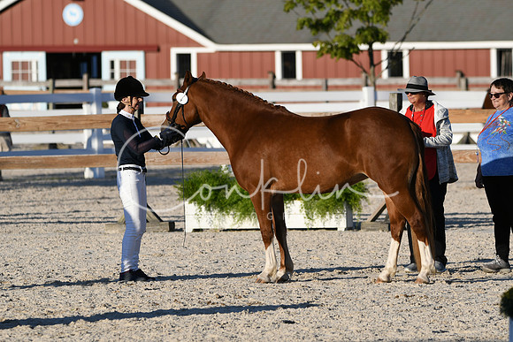 HSM_5595