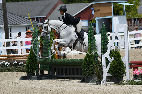 HSM_6934