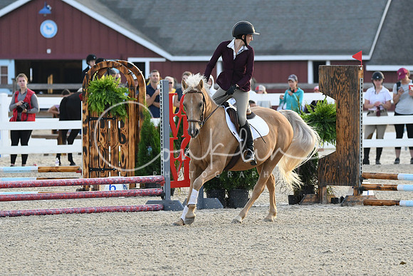 HSM_0906
