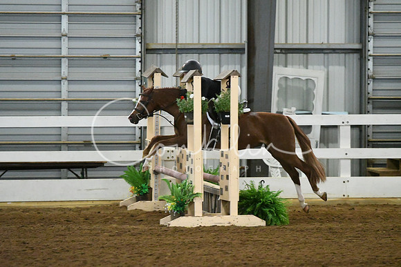 HSM_5343