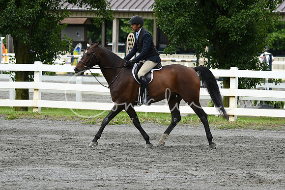HSM_4081