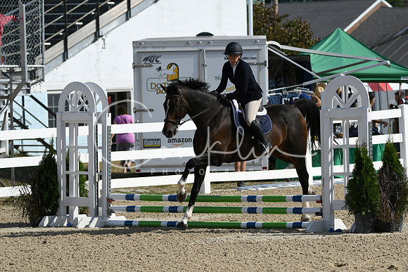 HSM_1779