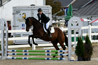 HSM_1037