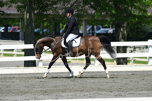 HSM_1291