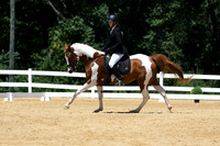 HSM_1317