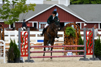 HSM_3028