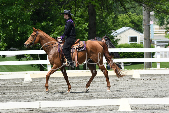 HSM_2938