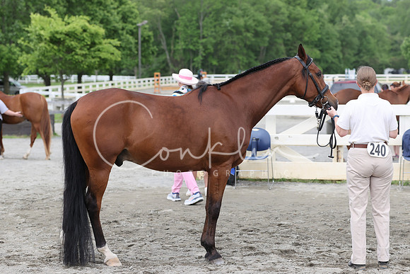 RJC31491