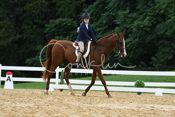 HSM_0026