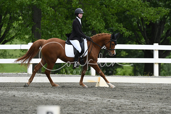 HSM_0649